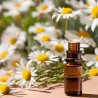BIO Pâquerette - Huile infusée 100% naturelle (10 ml)