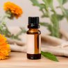 BIO Gălbenele - Ulei infuzat 100% natural (10 ml)