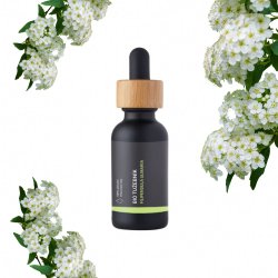 BIO Mädesüß - 100% natürliches infundiertes Öl (10 ml)
