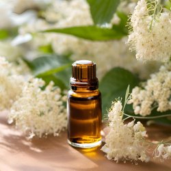 BIO Reine-des-prés - Huile infusée 100% naturelle (10 ml)