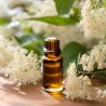 BIO Wiązówka - 100% naturalny olej infuzowany (10 ml)
