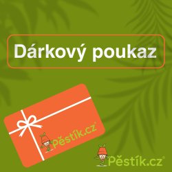 Geschenkgutschein