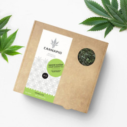 Rafraîchissement au chanvre - tisane de chanvre en vrac