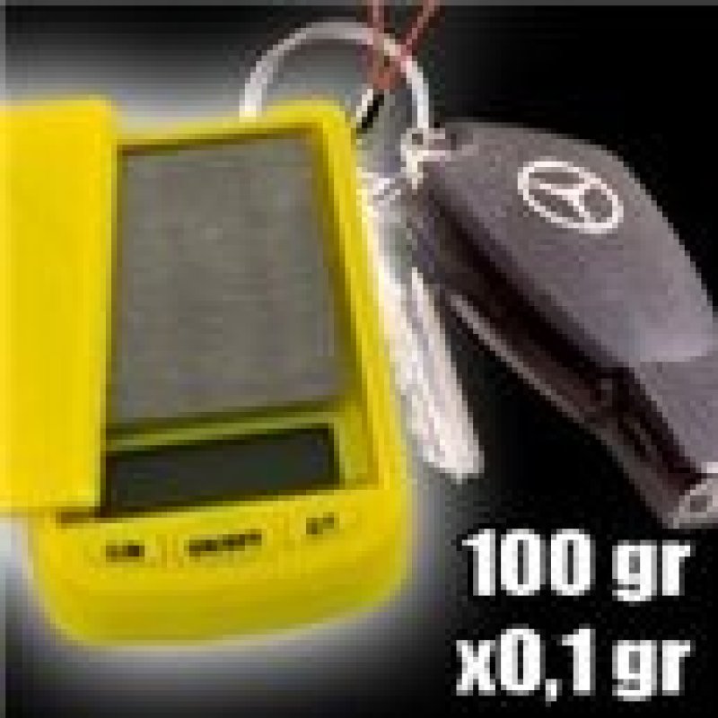 Taj Mini 100 (Genauigkeit 0,1 g)