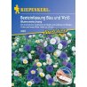 Bloemen voor tuinbedrand blauw en wit - zaaiband