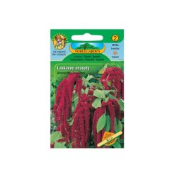 Amaranthus caudatus Red