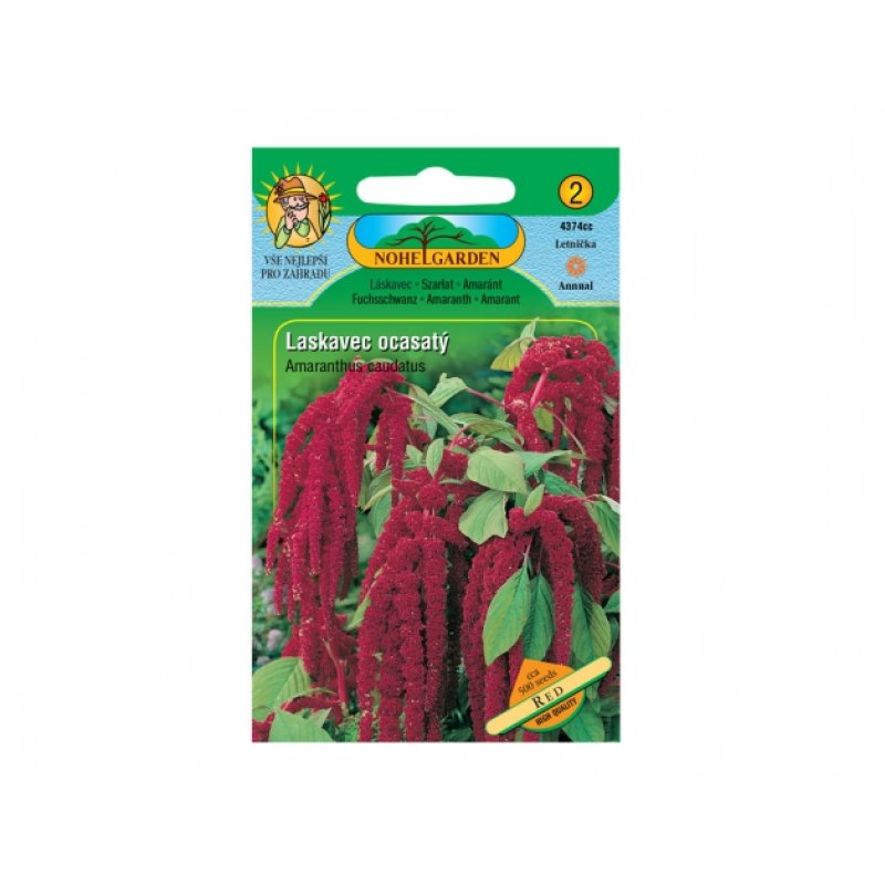 Fuchsschwanz Red