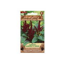 Amaranthus hypochondriacus - piros