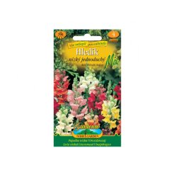 Lwia paszcza (Antirrhinum majus), pojedyncza
