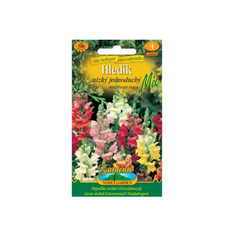 Löwenmäulchen (Antirrhinum majus), einfach