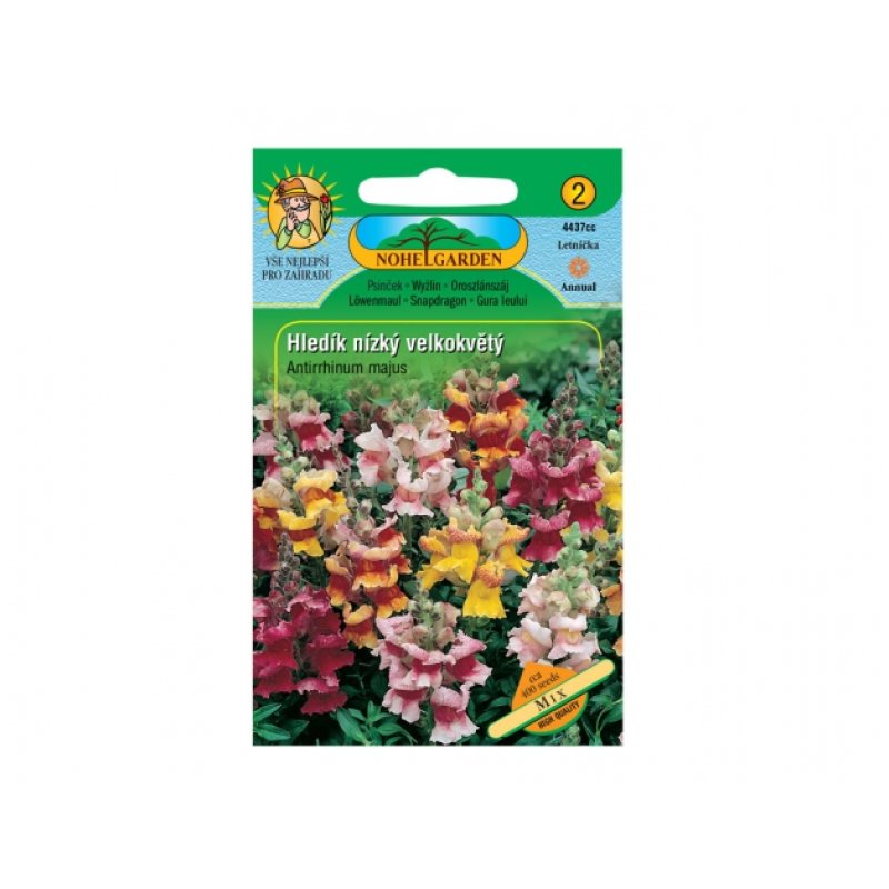 Leeuwenbek laag grootbloemig Mix