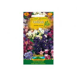 Aquilegia colorata