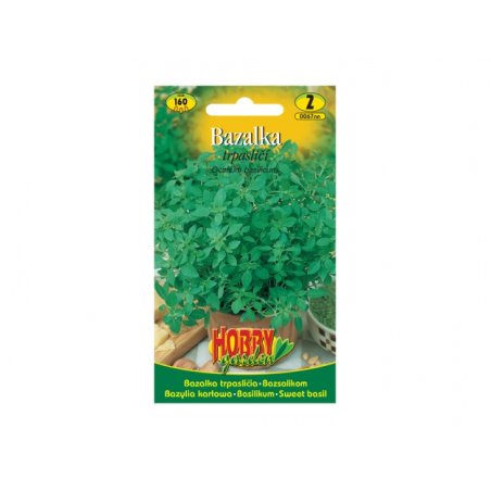 Albahaca enana