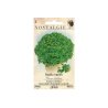Sweet Basil Dwarf (200 seeds)