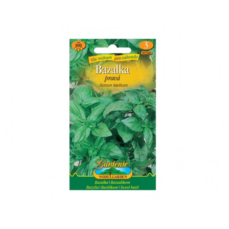 Albahaca común, 500 semillas