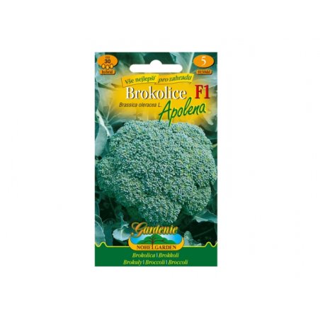 Brokolice APOLENA F1