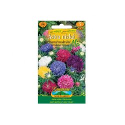 Aster bajo flor de crisantemo Mix