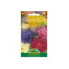 Astro alto a fiore aghiforme Unicum Mix