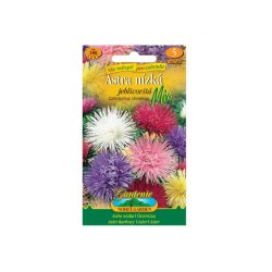 Aster bajo de flor aguja Mix