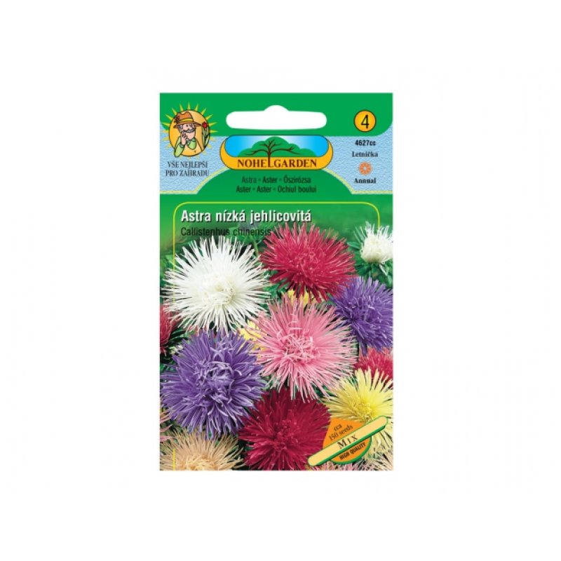Aster chino bajo de flor aguja Mix