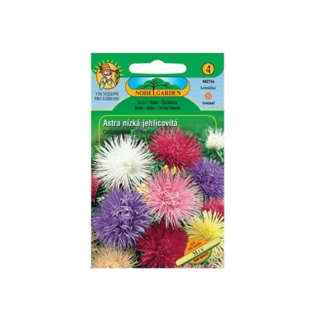 Astro cinese nano a fiore aghiforme Mix