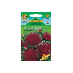 Callistephus chinensis висок с иглолистни цветове Red
