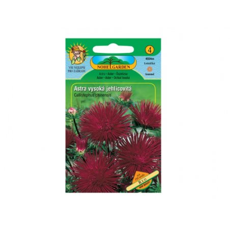 Aster chiński wysoki igielkowy Red
