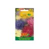 Aster chino alto Mix