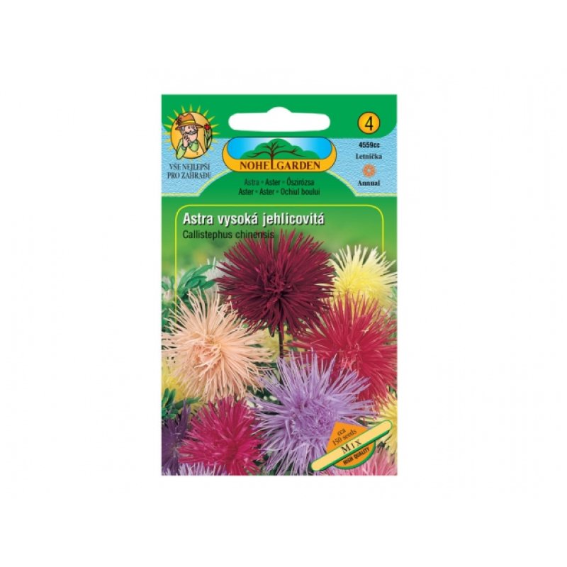 Astro cinese alto a fiore aghiforme Mix