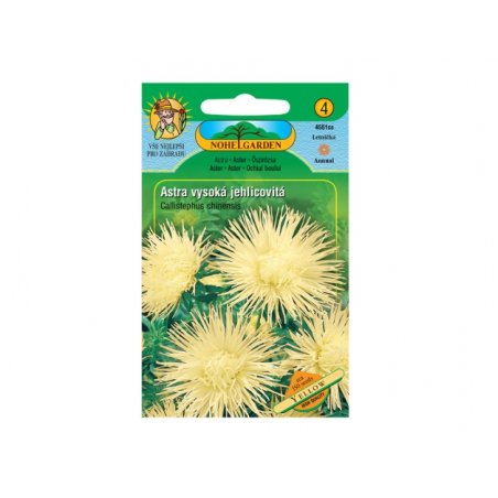 Astra vysoká ihlicovitá Yellow