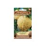Apio nabo ASTERIX F1