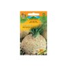 Apio nabo Maxim