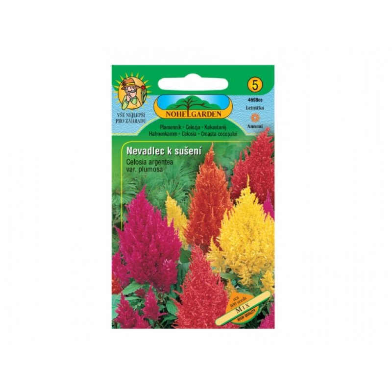 Celosia zum Trocknen Mix