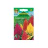Xeranthemum da essiccare Mix