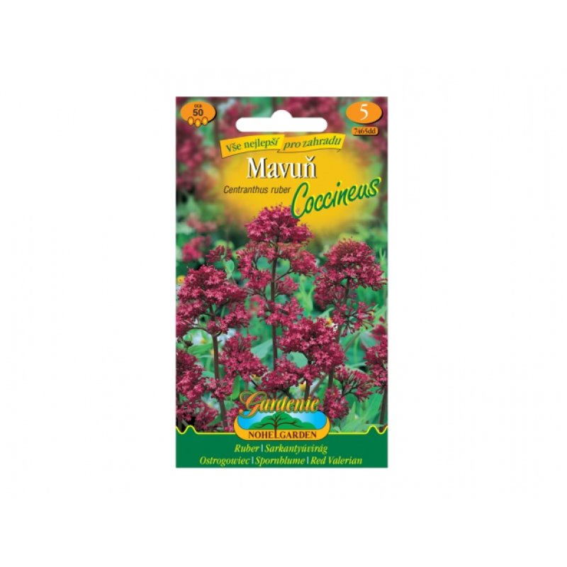 Rote Spornblume - Centranthus ruber