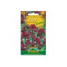 Mavuň Coccineus - Centranthus ruber