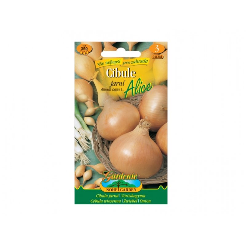 Пролетен жълт лук Alice