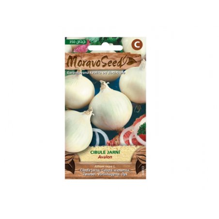 Frühlingszwiebel weiß AVALON