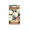 Spring White Onion AVALON