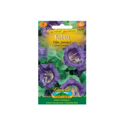 Cobea Violeta trepadora