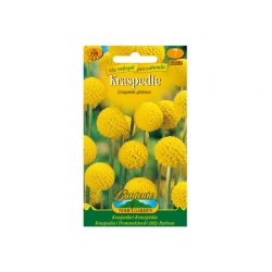 Craspedia geel (Craspedia globosa)