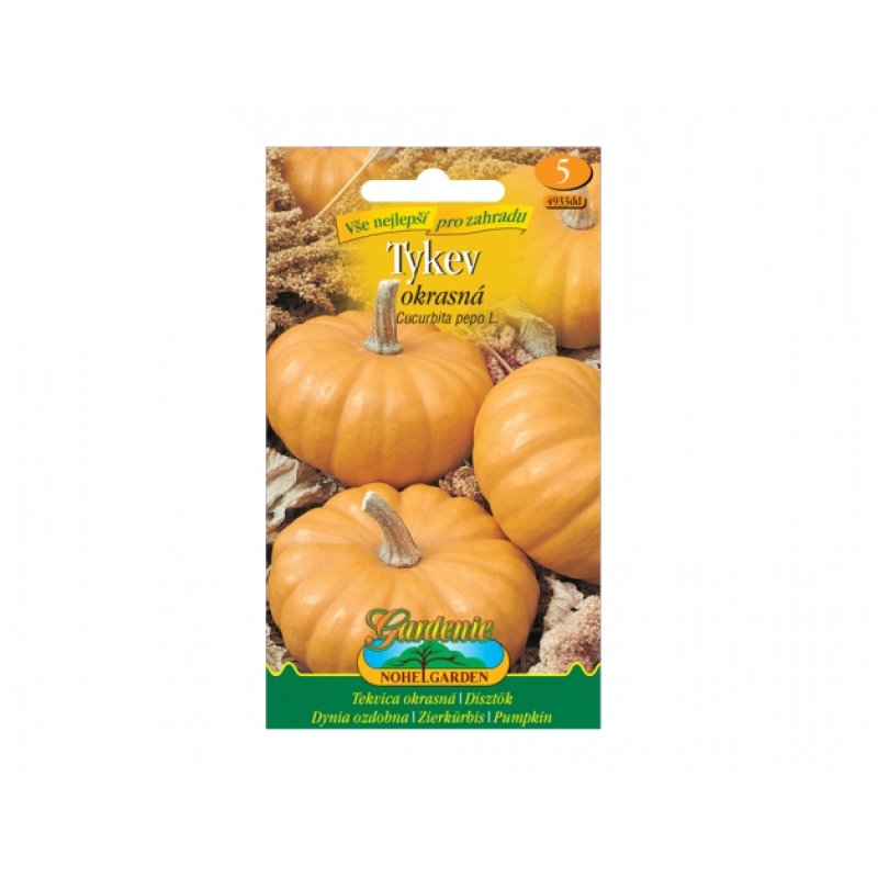 Zucca ornamentale - gialla rotonda