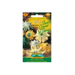 Ornamental Pumpkin Shenot Crowns of Thorns