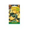 Cucurbita pepo zucca ornamentale giallo-verde