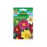 Dahlia tuin eenvoudig Mix