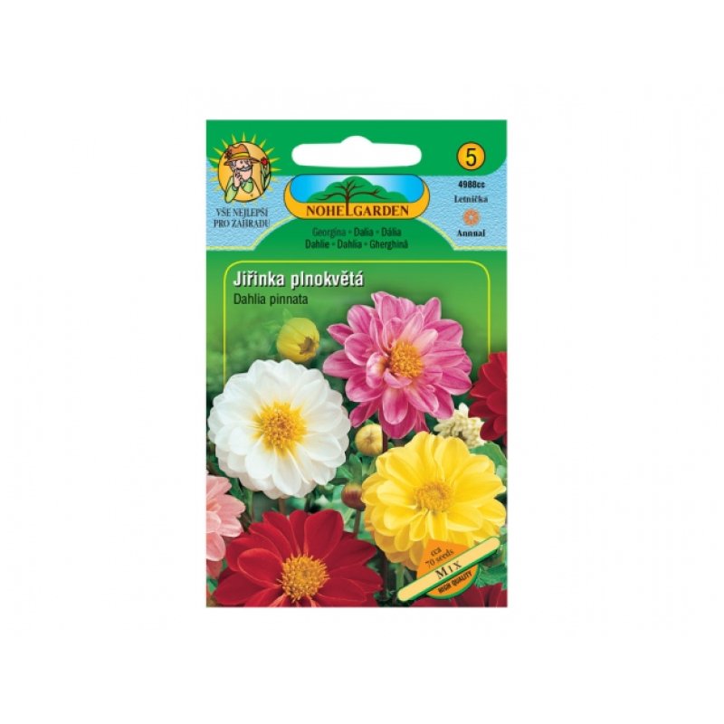 Dahlia des jardins à fleurs doubles Mélange