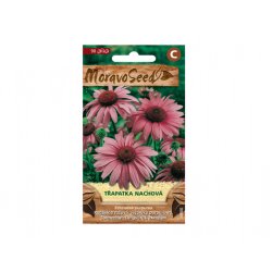 Roter Sonnenhut (Echinacea purpurea)
