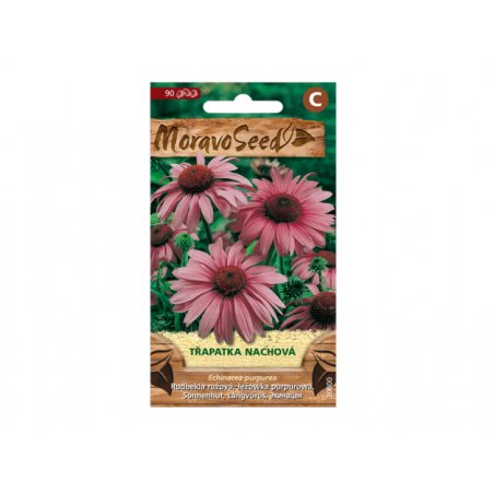 Equinácea púrpura (Echinacea purpurea)