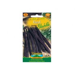 Haricot grimpant Blauhilde