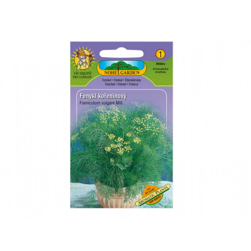 Hinojo condimenticio Aromatil plants